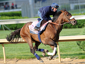And Why Not Fires Oaks Bullet; 4 Others Work And Why Not Fires Oaks Bullet; 4 Others Work