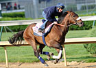 And Why Not Fires Oaks Bullet; 4 Others Work