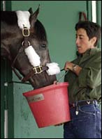 Yvonne Azeff in Saratoga: ' I Just Need to be Around the Horses and the People' Yvonne Azeff in Saratoga: ' I Just Need to be Around the Horses and the People'