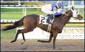 Mountain General Sets Track Record in Fair Grounds Opener Mountain General Sets Track Record in Fair Grounds Opener