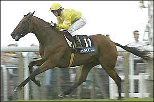 Mr Dinos Romps to Victory in Gold Cup Mr Dinos Romps to Victory in Gold Cup