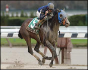 Multiple Choice Aces Sports Page Test Multiple Choice Aces Sports Page Test
