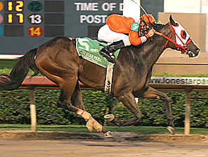 Texas Breeders in Houston Spotlight Texas Breeders in Houston Spotlight