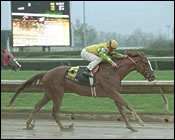 A New Twist Wins Muddy Madison A New Twist Wins Muddy Madison