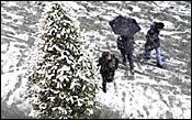 Snow Disrupts Racing in Northeast Snow Disrupts Racing in Northeast