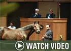 Video:  Fasig-Tipton Kentucky Selected Fall Mixed Sale
