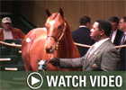 Video: Keeneland Nov - Day 1 Wrap Video: Keeneland Nov - Day 1 Wrap