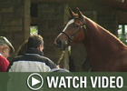 Video: Keeneland Nov - Day 4 Wrap