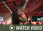 Video: Keeneland Nov - Week 1 Wrap
