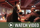 Video: Keeneland Nov - 11/12 Wrap