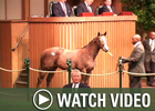 Video: Keeneland Nov - Final Wrap