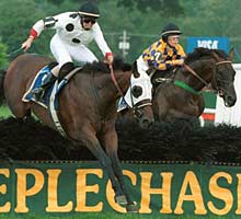 Ninepins Upsets Campanile in Turf Writers Cup Ninepins Upsets Campanile in Turf Writers Cup