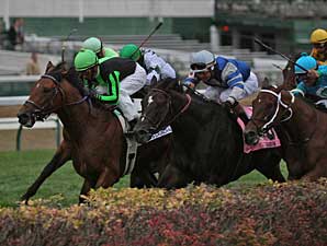 Nistle's Crunch Takes Commonwealth Turf Nistle's Crunch Takes Commonwealth Turf
