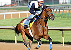 Noble's Promise to Skip Preakness; Ascot Next Noble's Promise to Skip Preakness; Ascot Next
