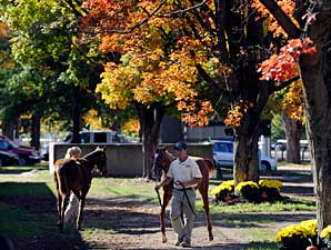 Fusaichi Pegasus Filly Tops N.Y. Sale Fusaichi Pegasus Filly Tops N.Y. Sale