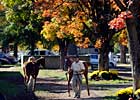 Fusaichi Pegasus Filly Tops N.Y. Sale Fusaichi Pegasus Filly Tops N.Y. Sale
