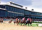 Potential Aplenty in Smarty Jones Potential Aplenty in Smarty Jones