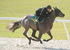Data Digest: OBS March 2-Year Olds Data Digest: OBS March 2-Year Olds