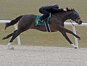 'Deputy' Filly Brings $520,000 'Deputy' Filly Brings $520,000