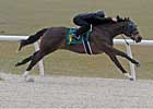 'Deputy' Filly Brings $520,000 'Deputy' Filly Brings $520,000
