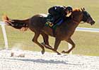 What's Hot? OBS' Buzzworthy Horses