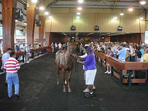 Declines Steep at OBS Fall Sale Opener Declines Steep at OBS Fall Sale Opener