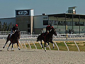 Reports Positive on OBS Track Reports Positive on OBS Track