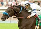 'Acorn to Get Cracking in San Luis Rey 'Acorn to Get Cracking in San Luis Rey