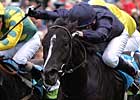 First Winner for Champion One Cool Cat First Winner for Champion One Cool Cat