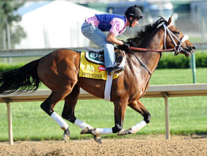 Optimizer May Carry Calumet Silks in Derby Optimizer May Carry Calumet Silks in Derby