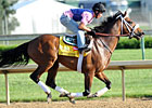 Optimizer May Carry Calumet Silks in Derby Optimizer May Carry Calumet Silks in Derby