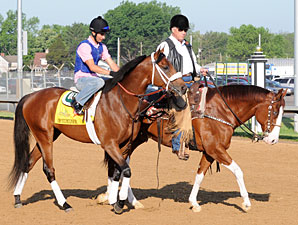 Optimizer and D. Wayne Lukas - Churchill Downs 5/2/2012