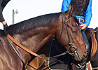 Haskin's Derby Report: Orb Catches the Eye