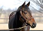 Ouija Board Produces First Winner Ouija Board Produces First Winner