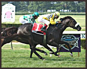 Owsley Posts Game New York Handicap Victory Owsley Posts Game New York Handicap Victory