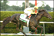 Keeneland Race Report (Cont.) Keeneland Race Report (Cont.)