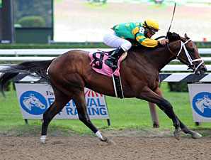 Pletcher Derby Hopefuls Work at Palm Meadows Pletcher Derby Hopefuls Work at Palm Meadows