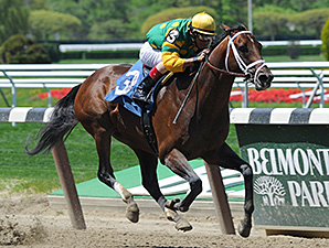Fields Taking Shape for Belmont Day Undercard Fields Taking Shape for Belmont Day Undercard