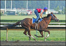 Park Avenue Ball Tunes Up for Haskell; Joey P. Confirmed Park Avenue Ball Tunes Up for Haskell; Joey P. Confirmed