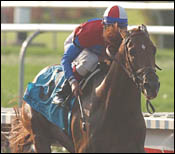 Fair Grounds Race Report: New Ruler Fair Grounds Race Report: New Ruler