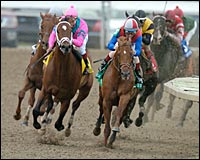 'Peace' Prevails in Battle of New Orleans 'Peace' Prevails in Battle of New Orleans
