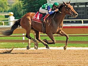 Grade I Winner Perfect Drift Retired Grade I Winner Perfect Drift Retired