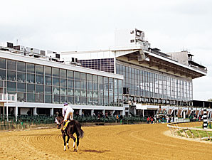 Pimlico Special: Back By Popular Demand Pimlico Special: Back By Popular Demand