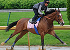 Plum Pretty Lands in Hollywood Oaks