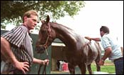 Point Given Draws Outside Post in Haskell Point Given Draws Outside Post in Haskell