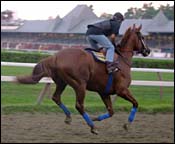 Point Given Draws Post Seven; Other Travers Notes Point Given Draws Post Seven; Other Travers Notes