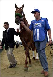 First Foals for Horse of the Year Point Given First Foals for Horse of the Year Point Given