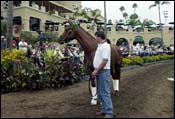 No Decision Yet on Where Point Given Will Stand at Stud No Decision Yet on Where Point Given Will Stand at Stud