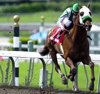 Steve Haskin's April 9 Derby Report: Point Given Nears Perfection Steve Haskin's April 9 Derby Report: Point Given Nears Perfection