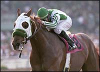 Haskin's March 19 Derby Report: Stars Shine as Clouds Lift Haskin's March 19 Derby Report: Stars Shine as Clouds Lift